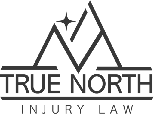 Cropped True North logo 12 copy